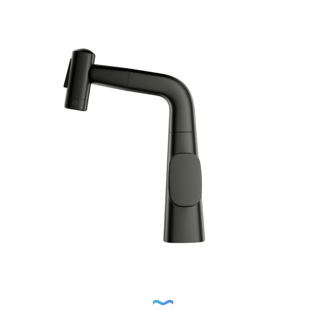 Robinet multifonction salle de bain gris metalisé: Modern black bathroom faucet with a sleek, minimalist design.