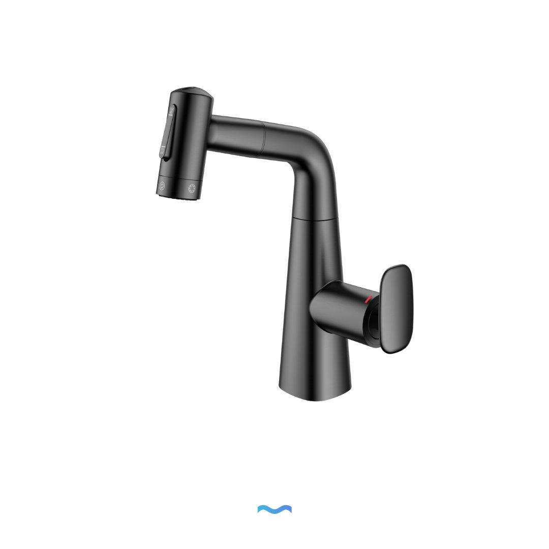 Robinet multifonction salle de bain gris metalisé: Modern black matte kitchen faucet with separate hot and cold water controls.