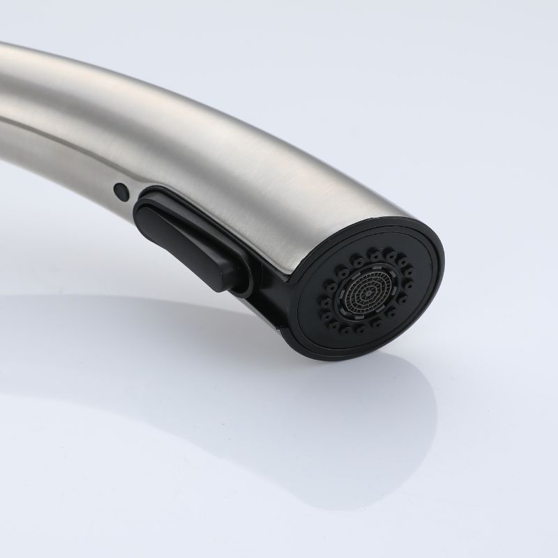 Tête de pulvérisation de robinet de cuisine en nickel brossé : conception contemporaine avec buse noire et interrupteur à bascule pratique.