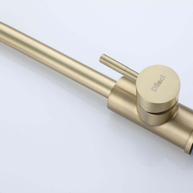 Robinet de cuisine doré au design intemporel. Finition or brossé, style moderne.