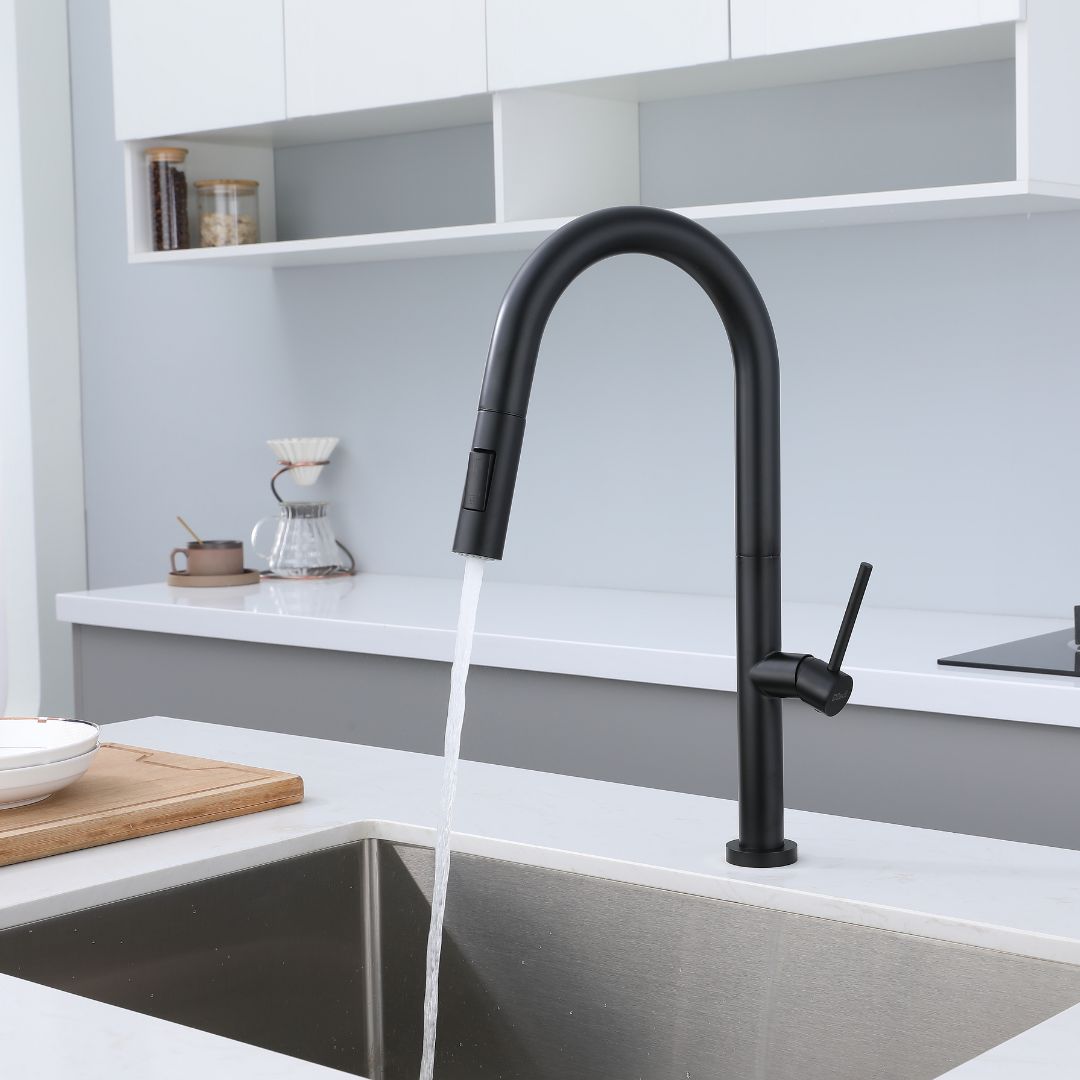 Robinet de cuisine noir mat à bec rétractable : Design élégant et moderne avec bec à grand arc et douchette extractible. Idéal pour les cuisines contemporaines.