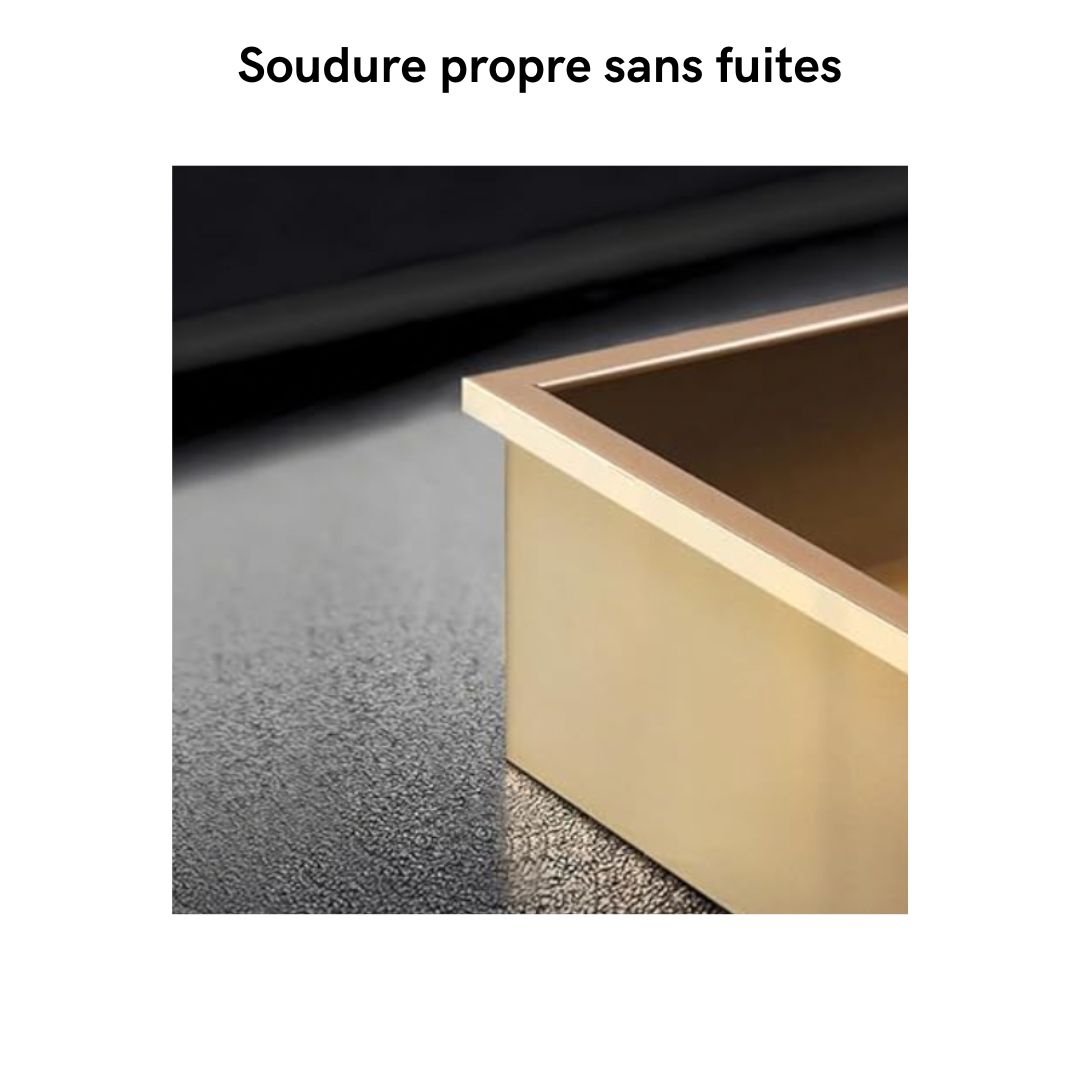 Niche de douche double dorée, 60x30x12cm, construction sans joint et étanche