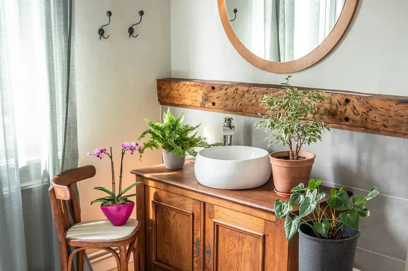 Salle de bain rustique avec lavabo vasque, meuble en bois, plantes vertes et miroir rond. 