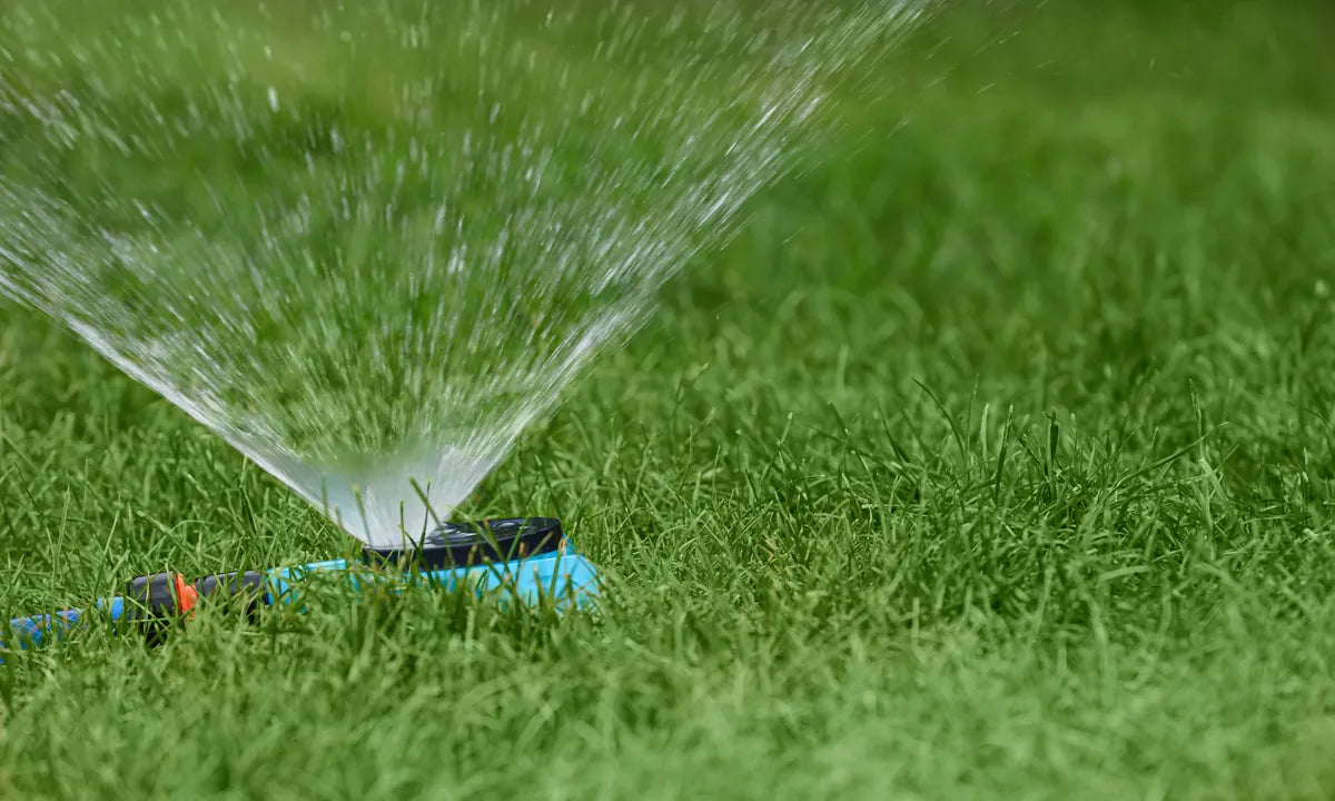 Installation d'arrosage automatique : bien choisir son entreprise d'irrigation