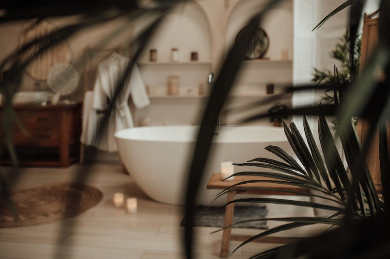 Salle de bain nature zen : baignoire îlot blanche, décor bois clair et plantes vertes pour une ambiance relaxante.