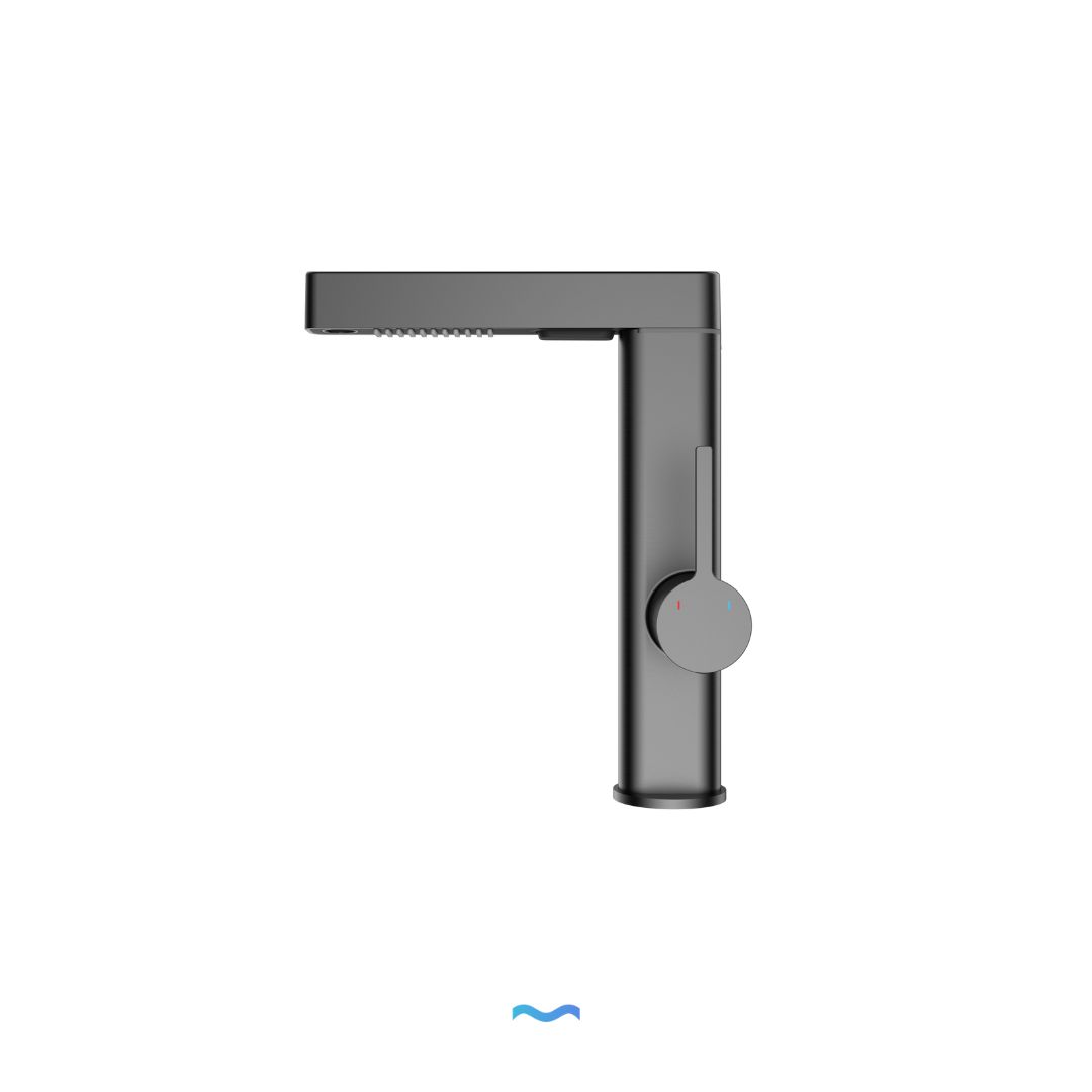 Robinet moderne multifonction gris métalisé:  Modern metallic gray faucet with integrated shower head and single lever control.