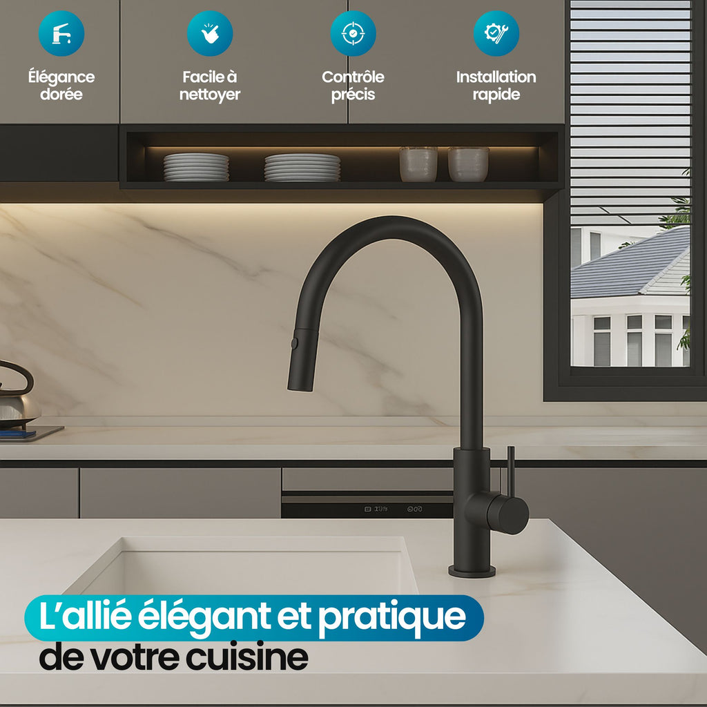 Robinet de cuisine noir mat: élégant robinet de cuisine noir mat, facile à nettoyer, installation rapide, contrôle précis du débit d'eau.