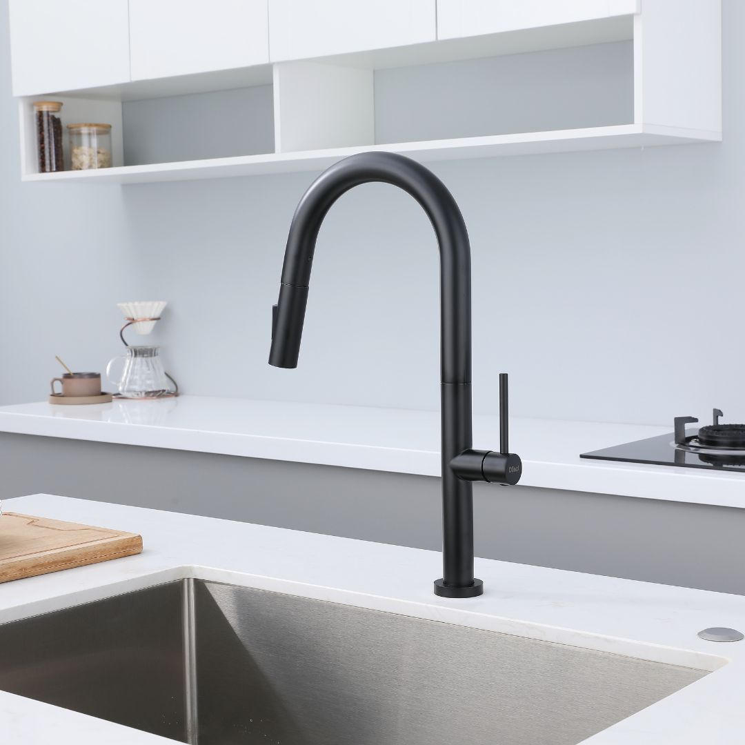 Matte black pull-down kitchen faucet with high-arc spout and single lever handle.  Robinet de cuisine avec Douchette Extractible noir mat