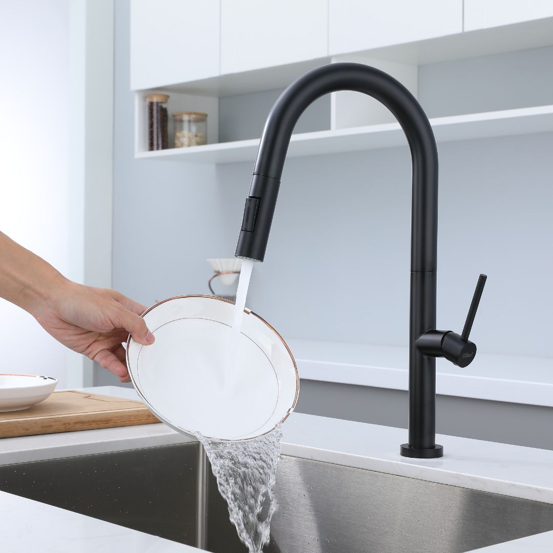 Robinet de cuisine rétractable noir mat avec pulvérisateur, offrant une fonctionnalité d'évier de cuisine pratique et élégante.