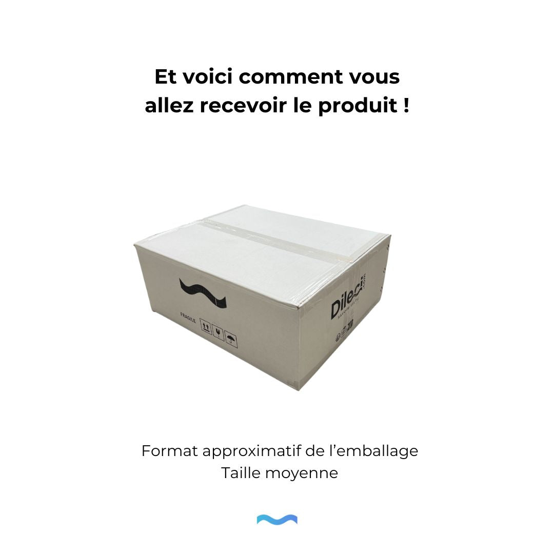 Niche de douche double Or 60x30x12cm : Niche de douche double, finition dorée, 60cm x 30cm x 12cm