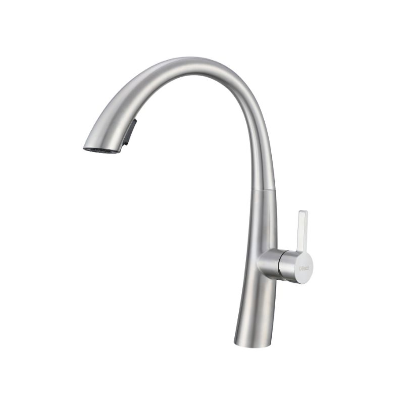 Contemporary brushed nickel kitchen faucet, high-arc spout. Robinet de Cuisine Contemporain – Nickel Brossé/Chrome
