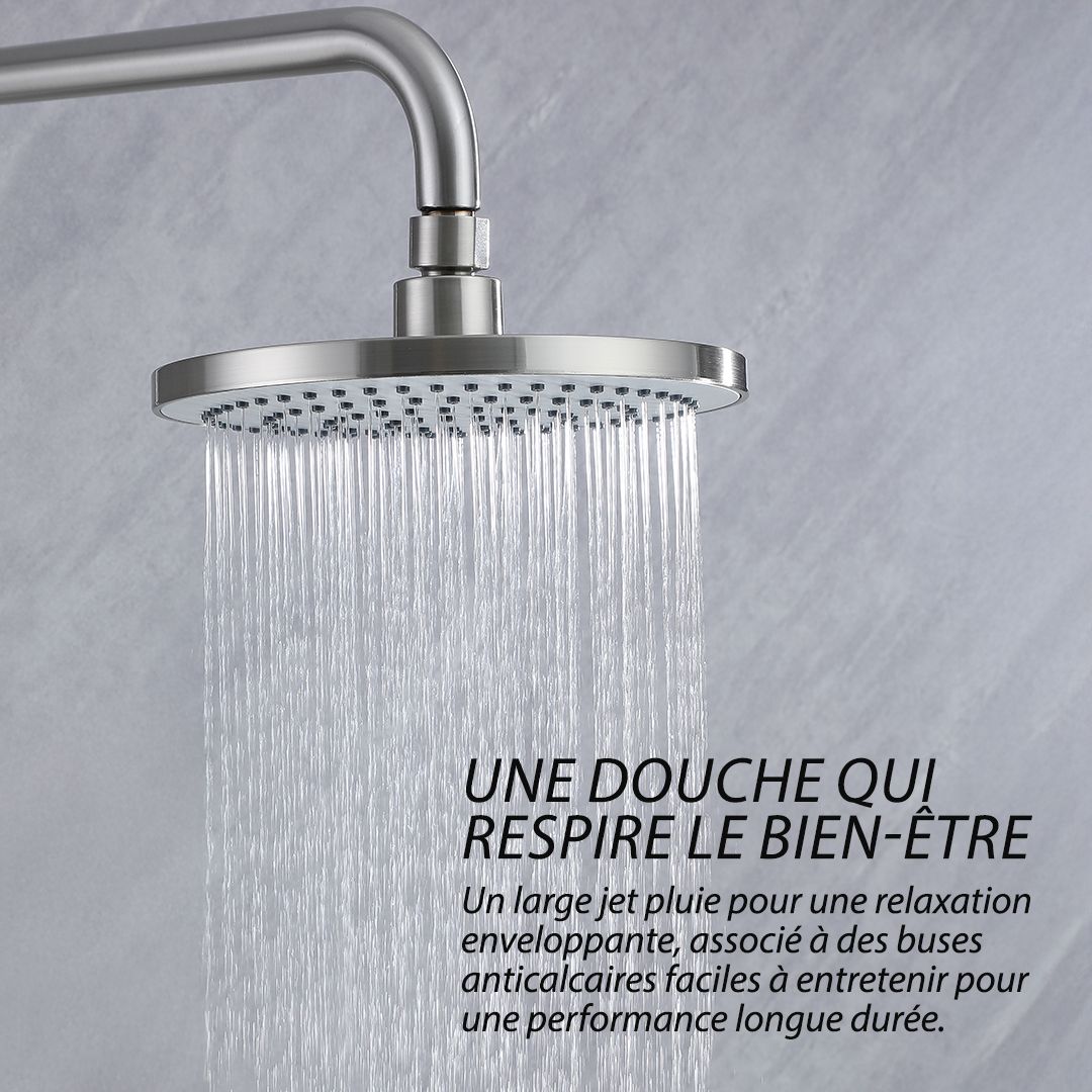 Colonne de douche nickel brossé/chrome à 2 fonctions.  Large pomme de douche pluie, buses anticalcaires pour une relaxation optimale.