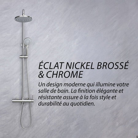 Colonne de douche 2 fonctions, finition nickel brossé et chrome.  Design moderne pour salle de bain.