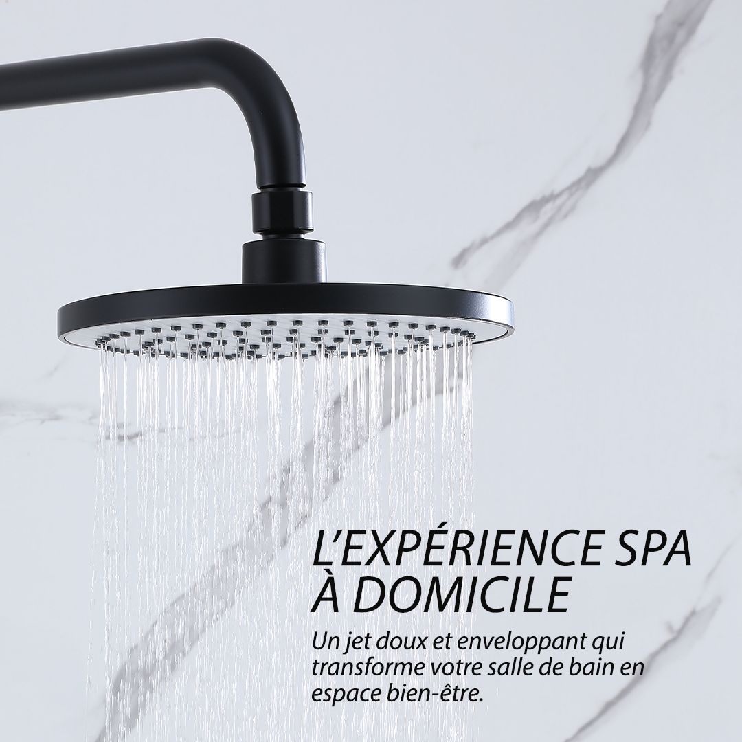 Colonne de douche noir mat : système de douche noir mat à 2 fonctions avec pommeau de douche à effet pluie