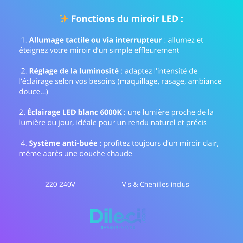 Miroir LED rectangulaire 100 x 70 cm avec contour givré