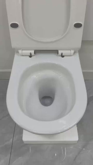 Intérieur cuvette (blanc)