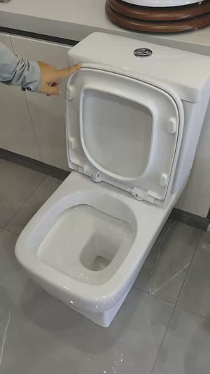 Vidéo Abattant