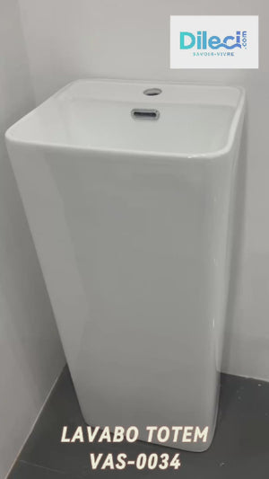Vidéo Lavabo Totem